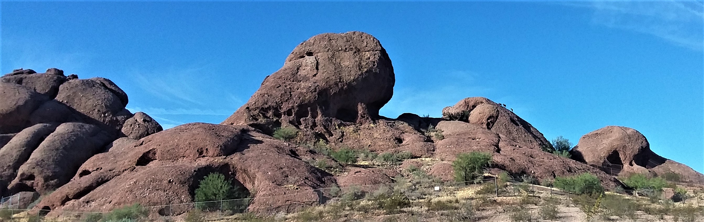 WaitingtobeFed_100619