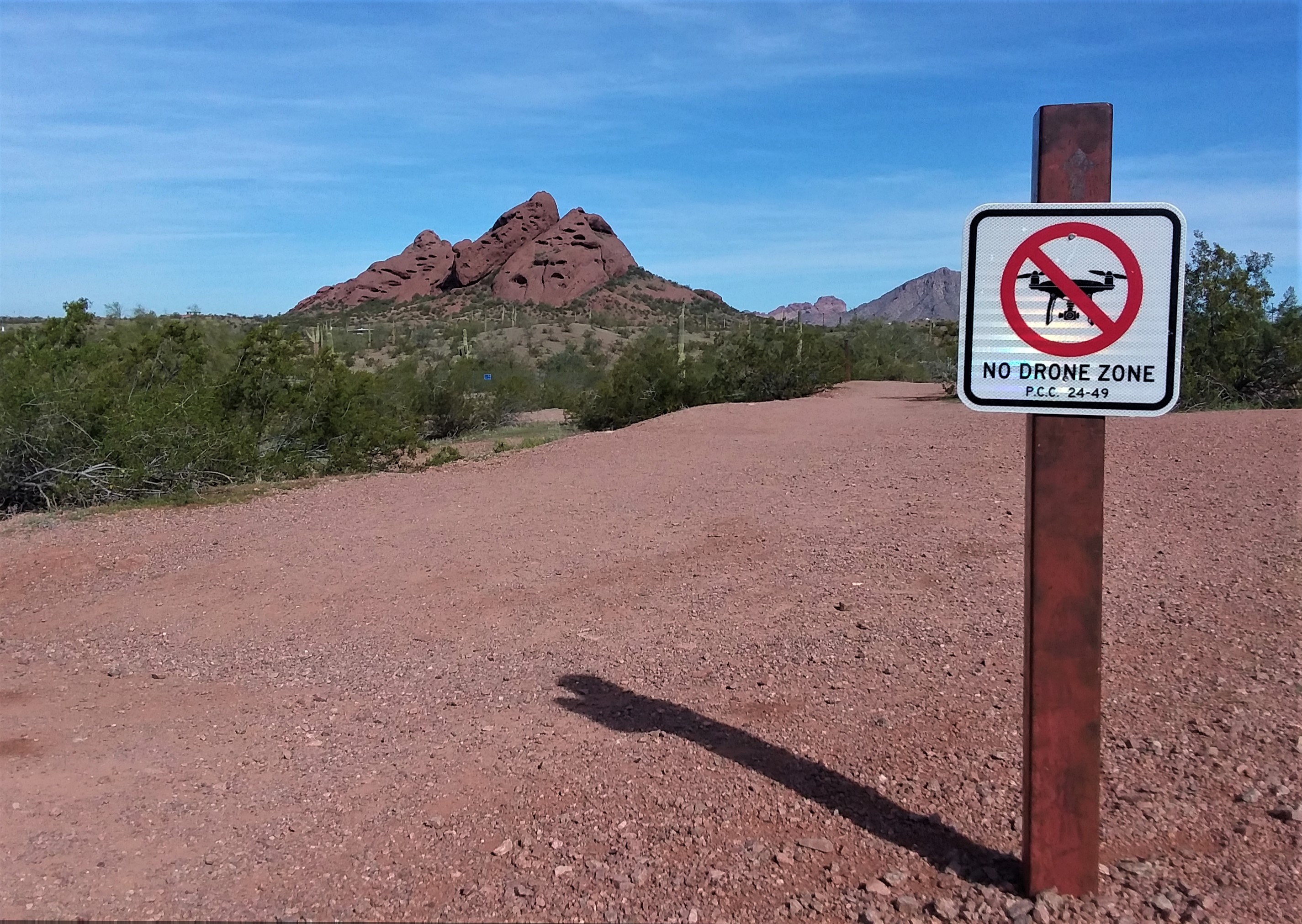 NoDroneZone_030520