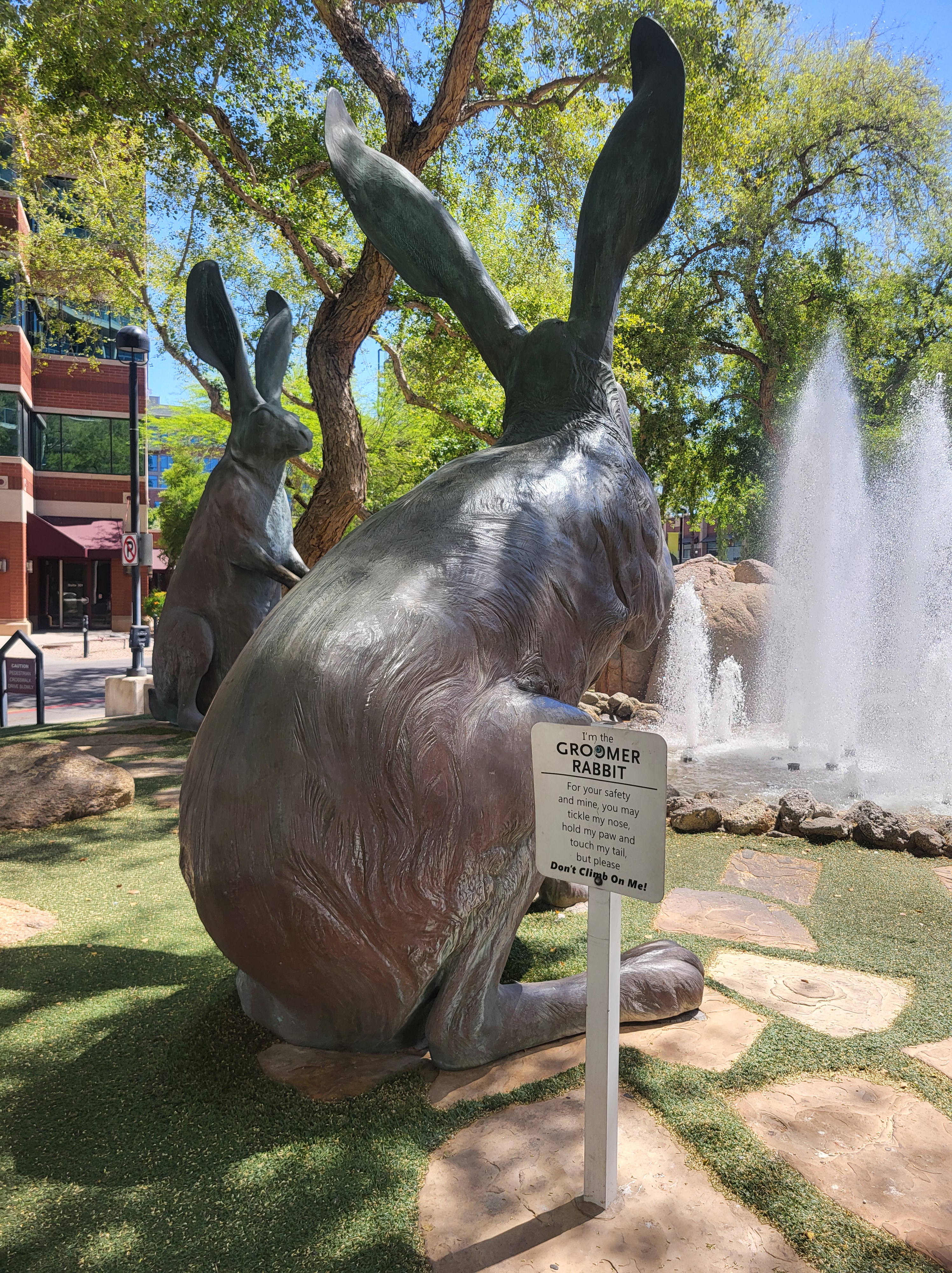 jackrabbits1_tempe_041025.jpg